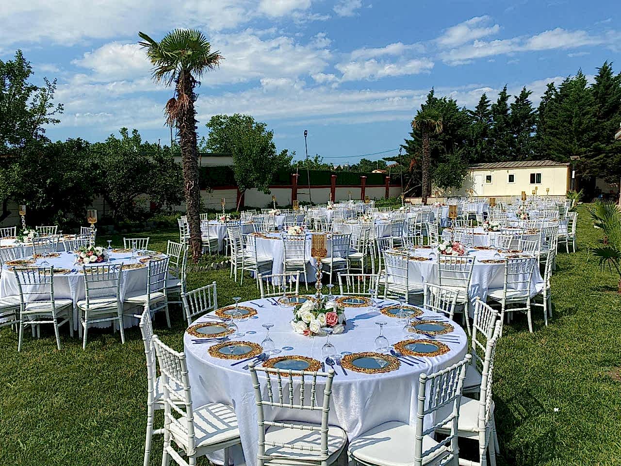 Tiffany Sandalye Kiralama | Kiralık Tiffany Sandalye Fiyatları